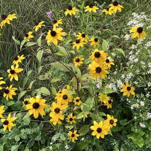 Meet your Posher, Staci